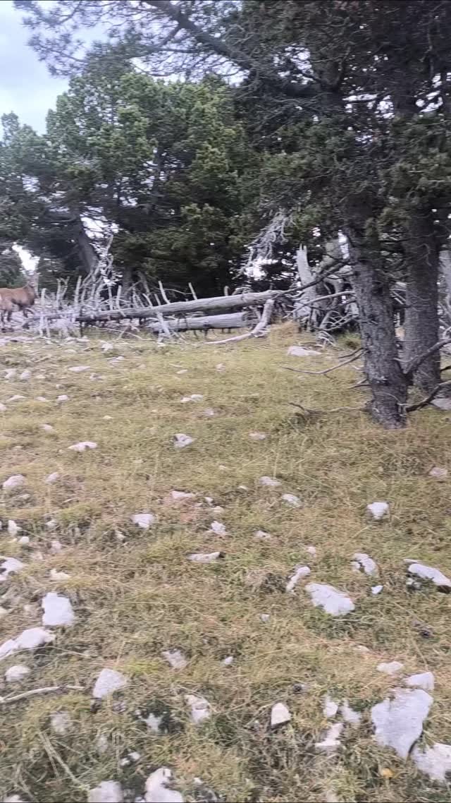 Post 6 by Jerome Lassale on Instagram (video)