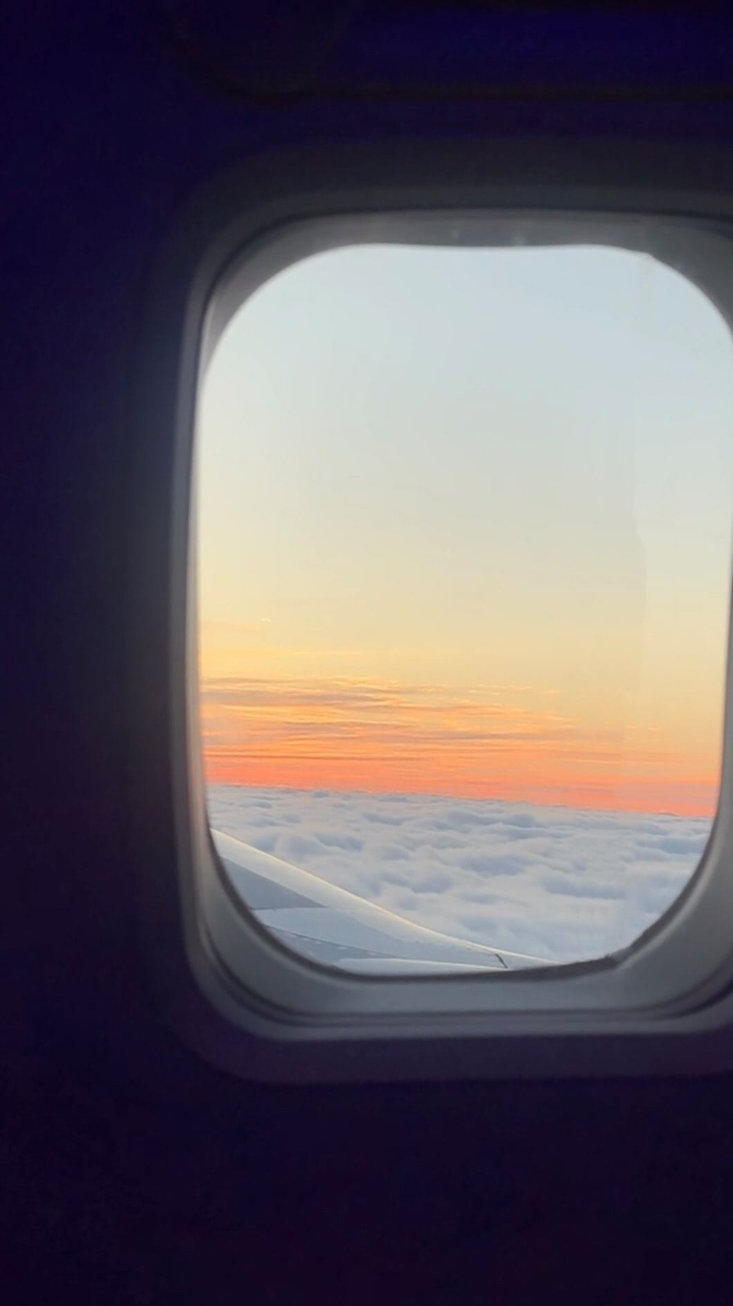 Post 6 by Lourdes Homedes on Instagram (video)