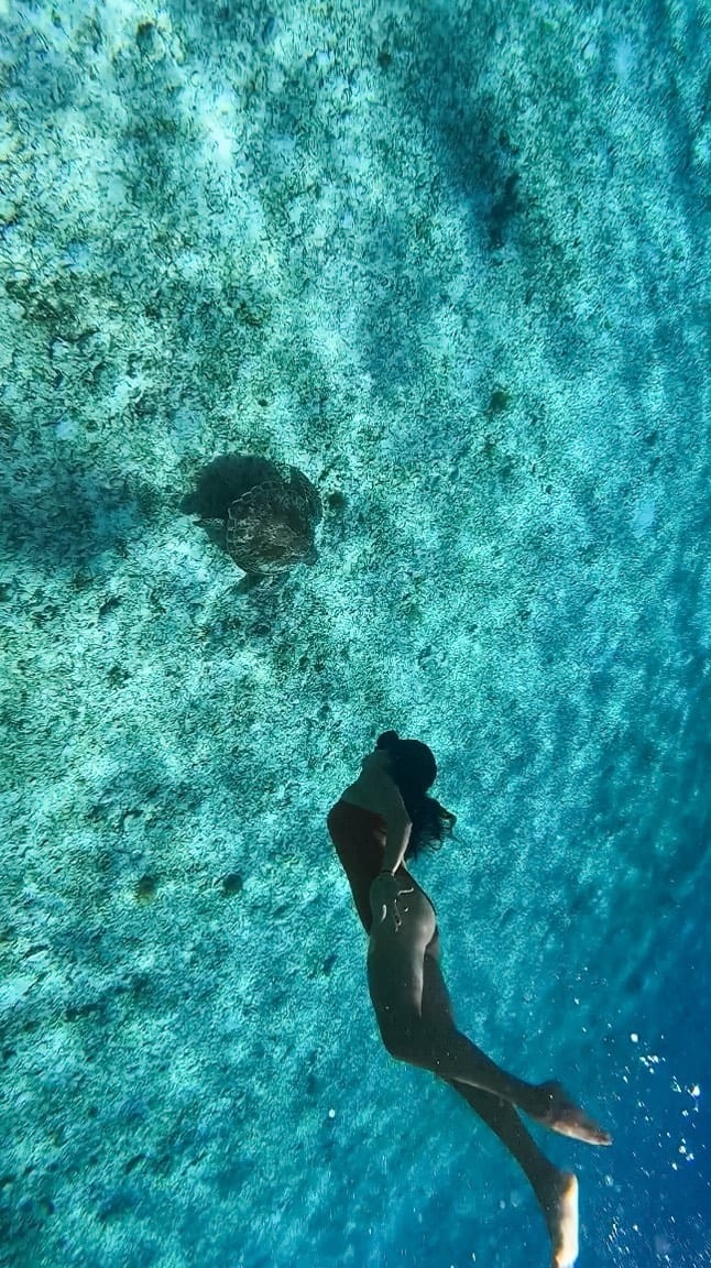 Post 8 by A L V A | P É R E Z 🗺🇻🇪 on Instagram (video)