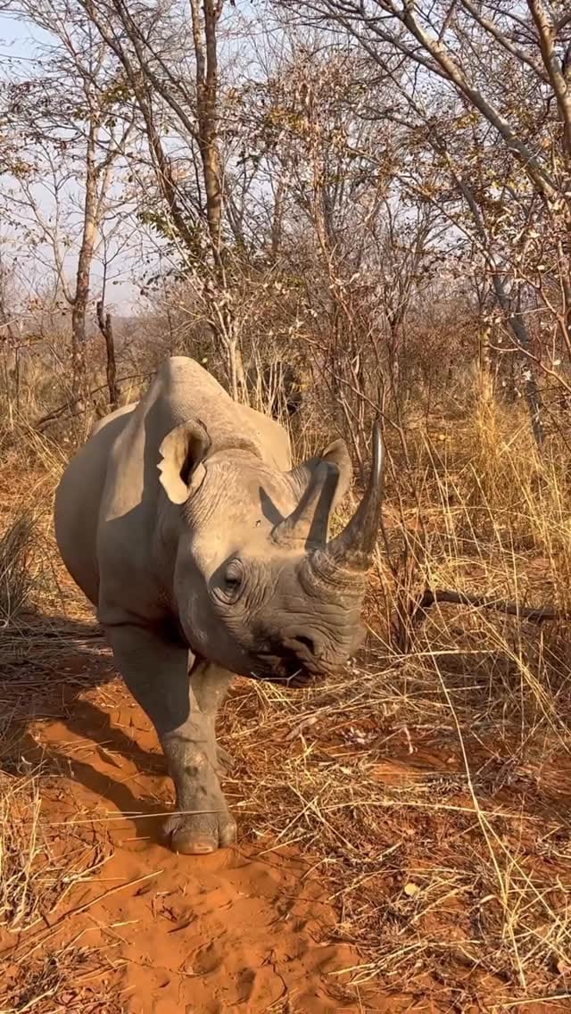 Post 6 by Discovering Wonderful Places by Aritz on Instagram (video)