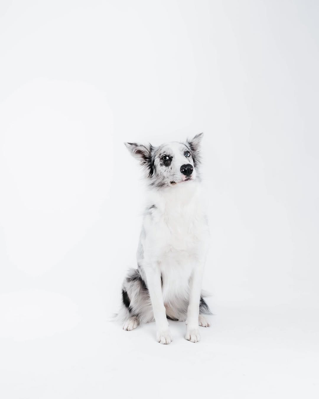 Post 9 by 𝕂𝕚𝕣𝕒 𝕪 𝔼𝕝𝕖𝕟𝕒 on Instagram (image)