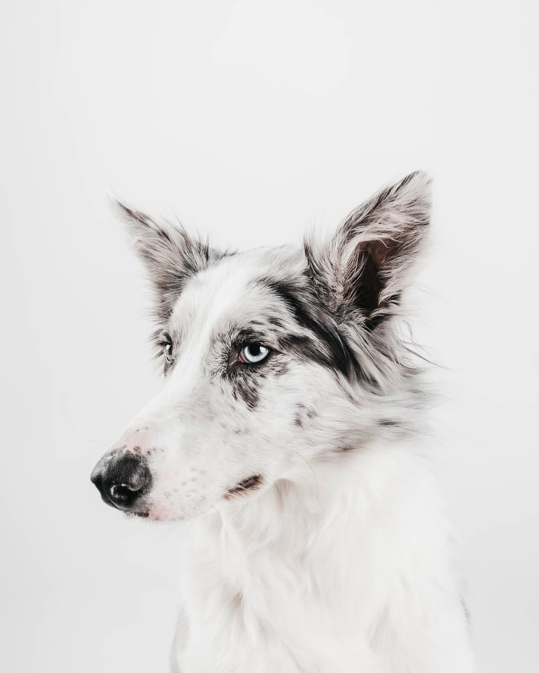 Post 3 by 𝕂𝕚𝕣𝕒 𝕪 𝔼𝕝𝕖𝕟𝕒 on Instagram (image)