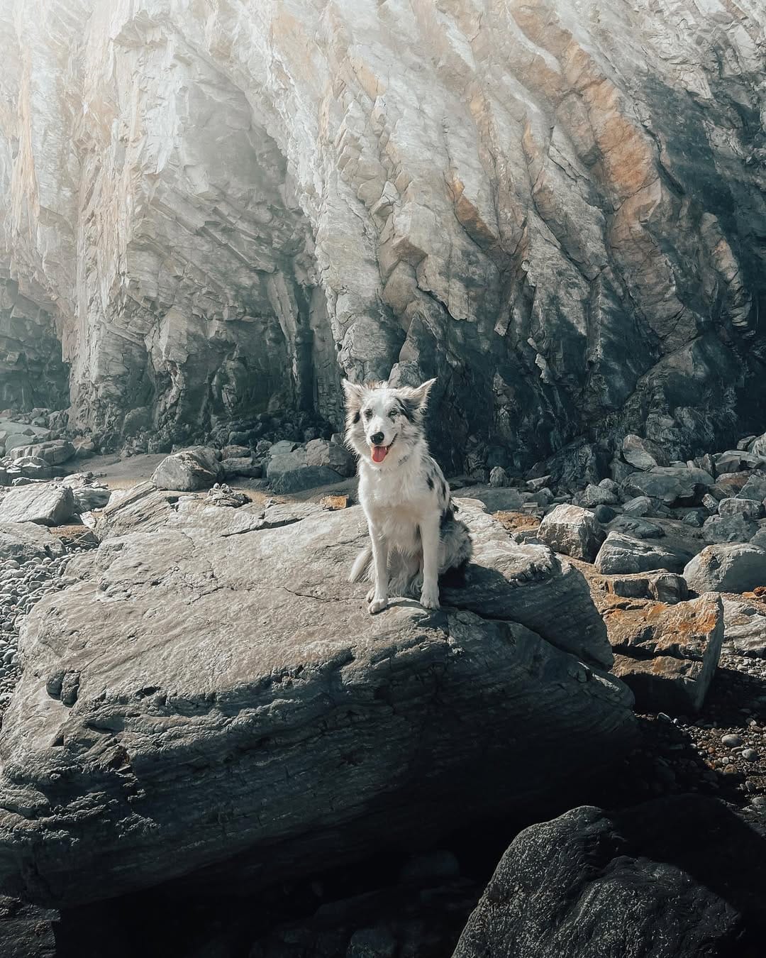 Post 10 by 𝕂𝕚𝕣𝕒 𝕪 𝔼𝕝𝕖𝕟𝕒 on Instagram (image)