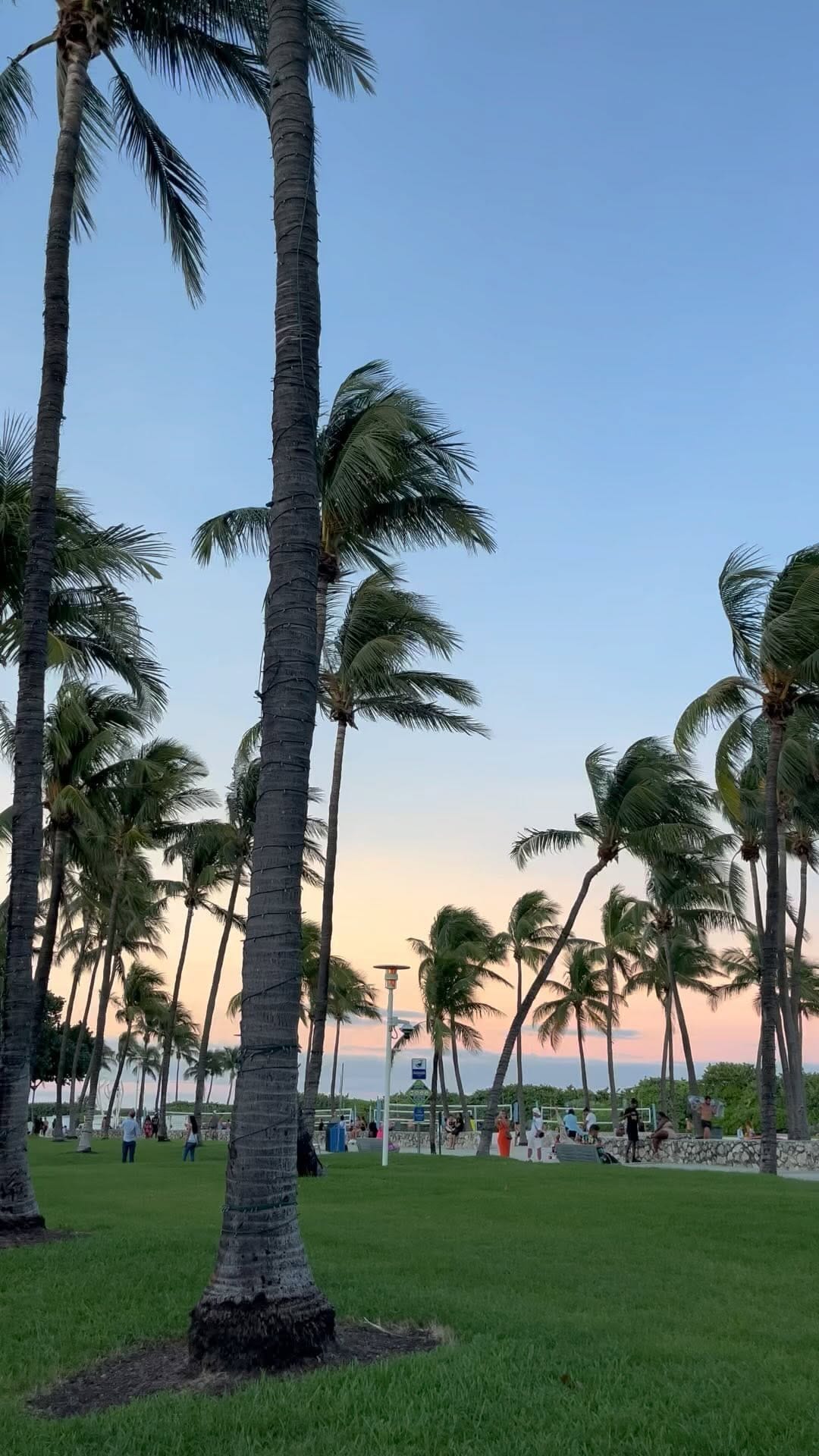 Post 7 by Marcus Hunt on Instagram (video)