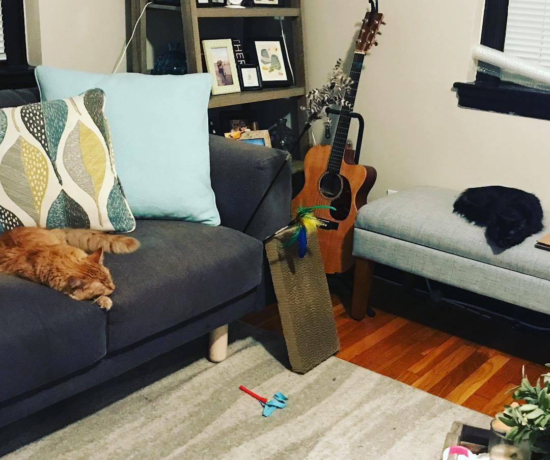 Post 8 by Cider & Sage on Instagram (image)