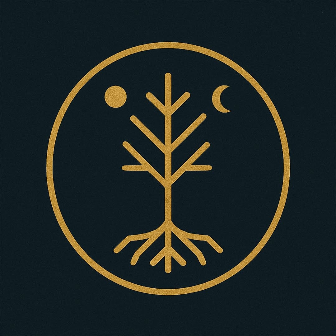 Post 4 by Orkun ŞAHİN on Instagram (image)