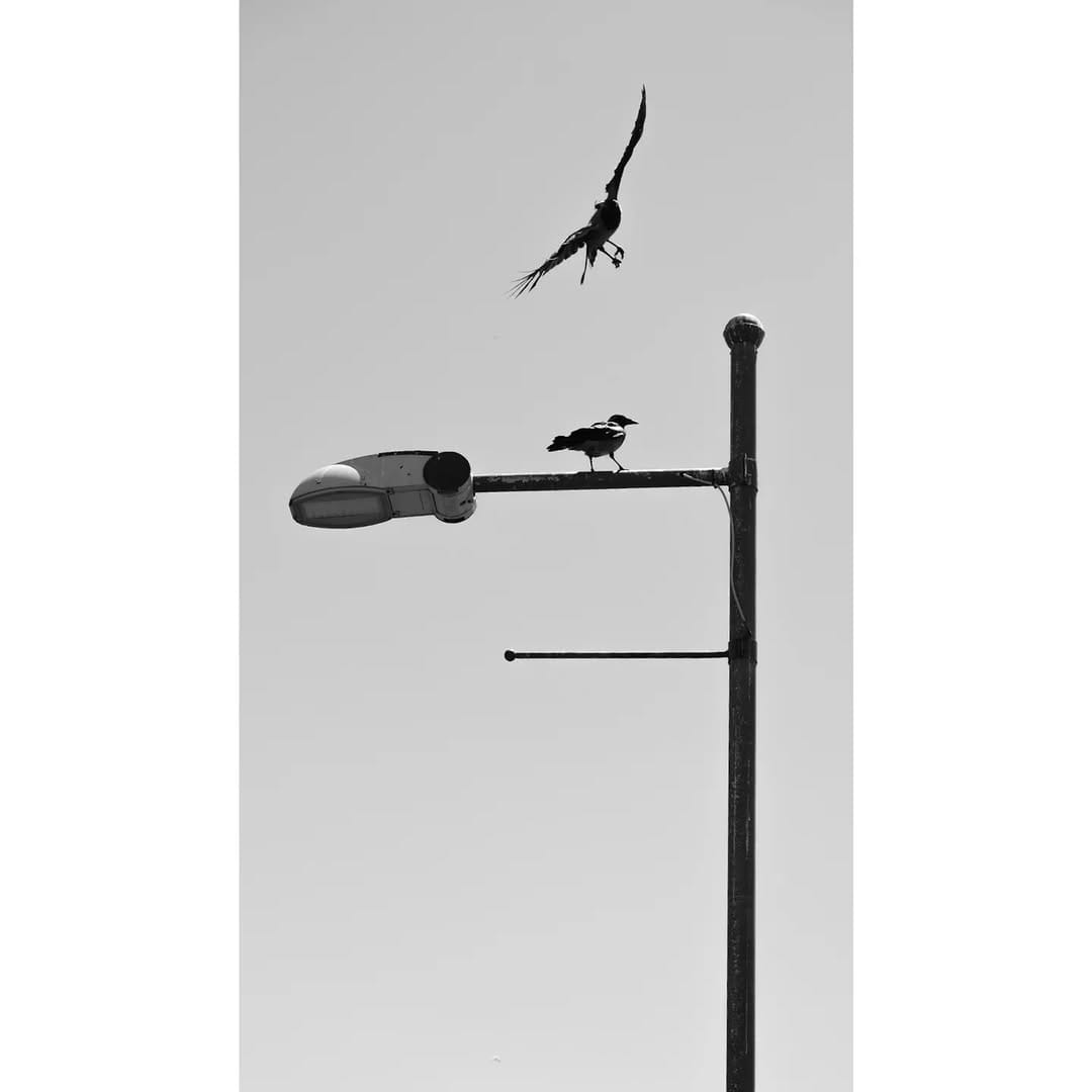 Post 6 by Orkun ŞAHİN on Instagram (image)