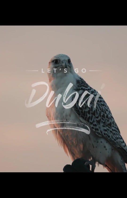 Post 8 by Hadi Al Shami | هادي الشامي on Instagram (video)