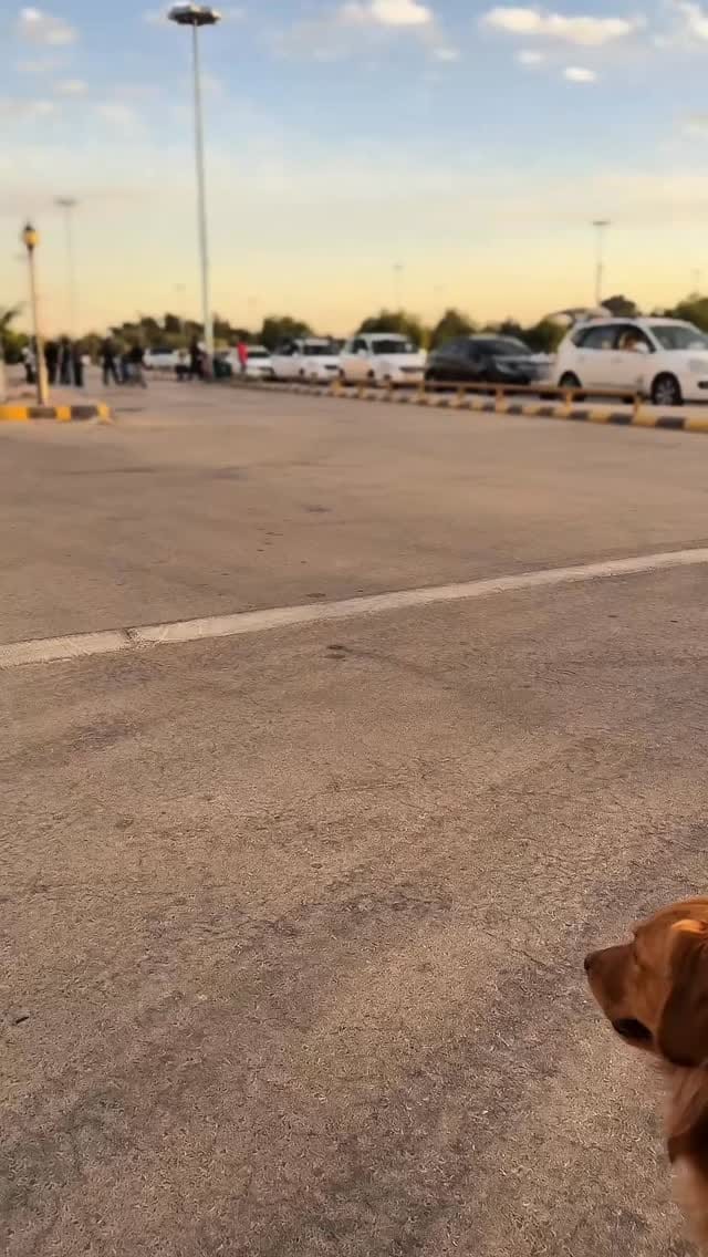 Post 3 by Hadi Al Shami | هادي الشامي on Instagram (video)
