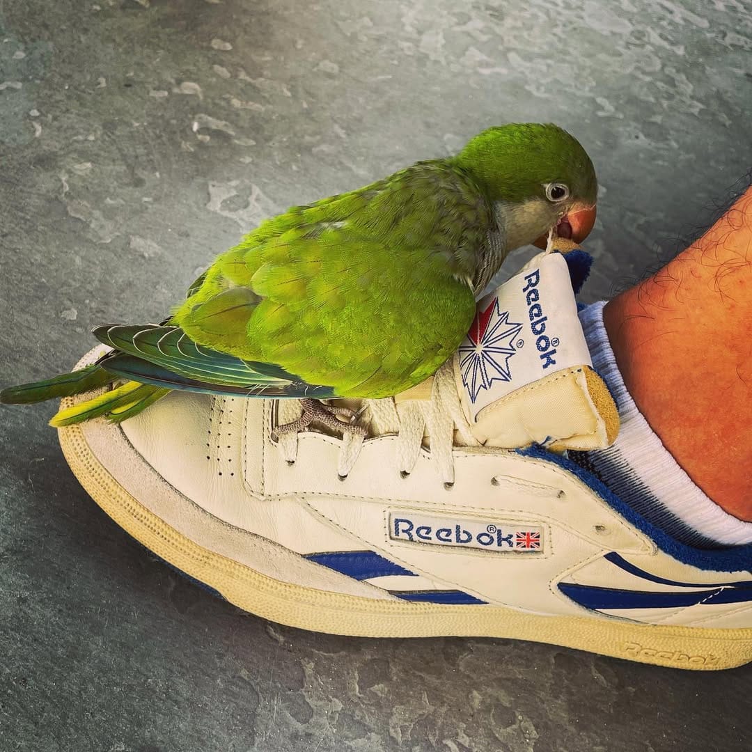 Post 5 by Mario Staffieri on Instagram (image)