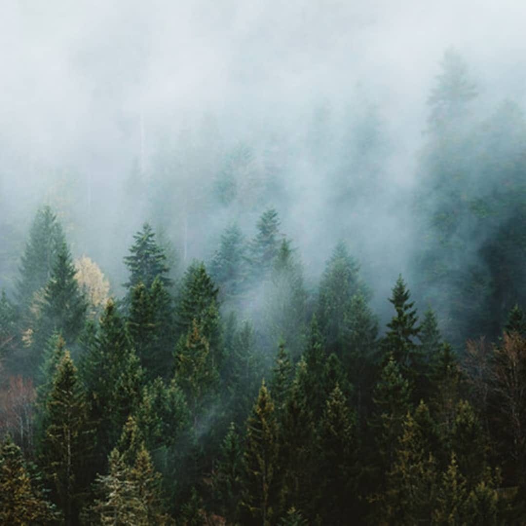 Post 3 by PhilippeThomas on Instagram (image)