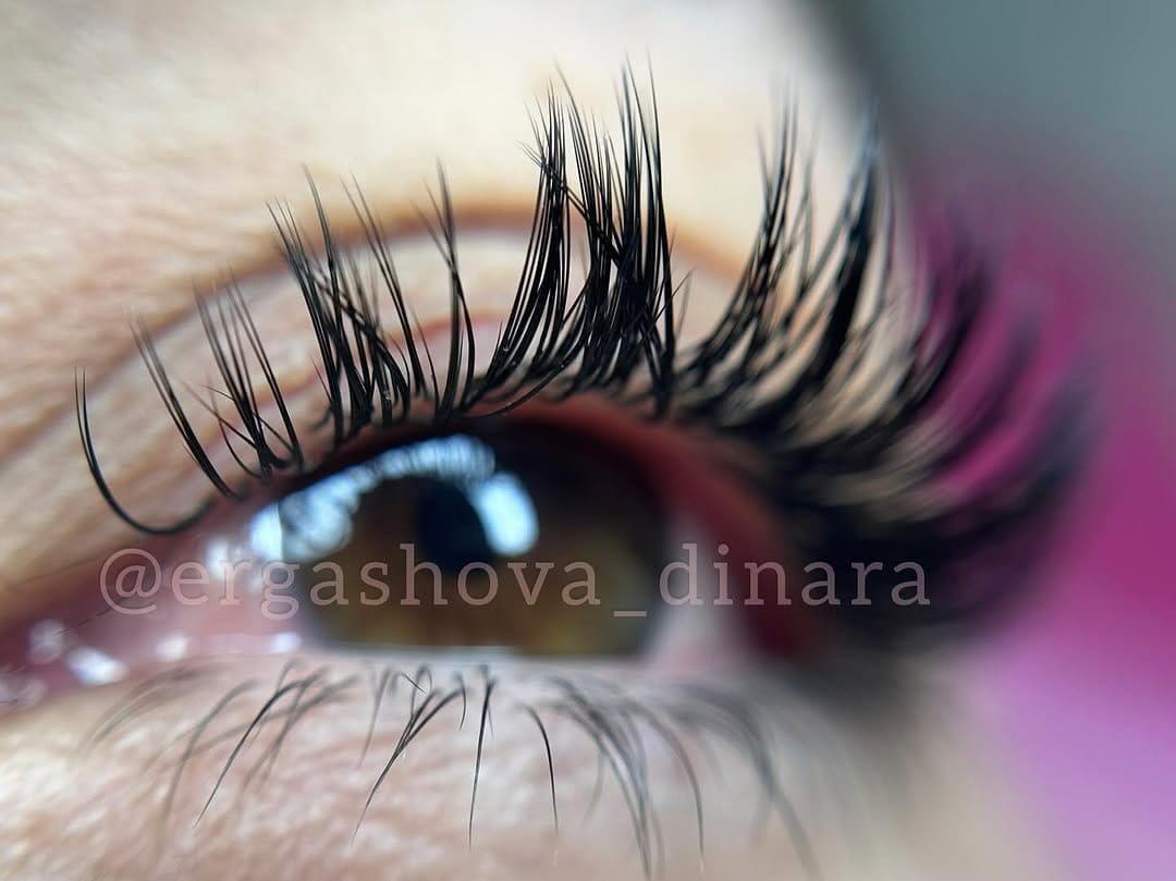 Post 7 by Dina on Instagram (image)