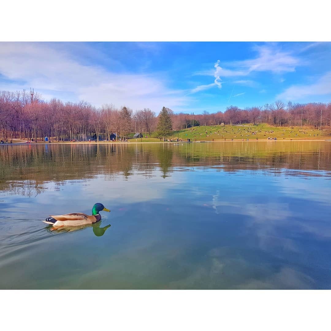 Post 10 by vahid.s.89 on Instagram (image)