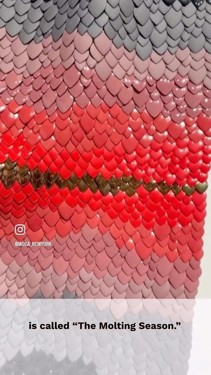 Post 3 by Ange Monnoyeur Gallery on Instagram (video)