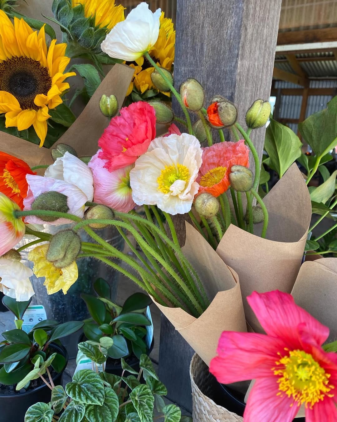 Post 1 by Hannah goes to Paris on Instagram (image)