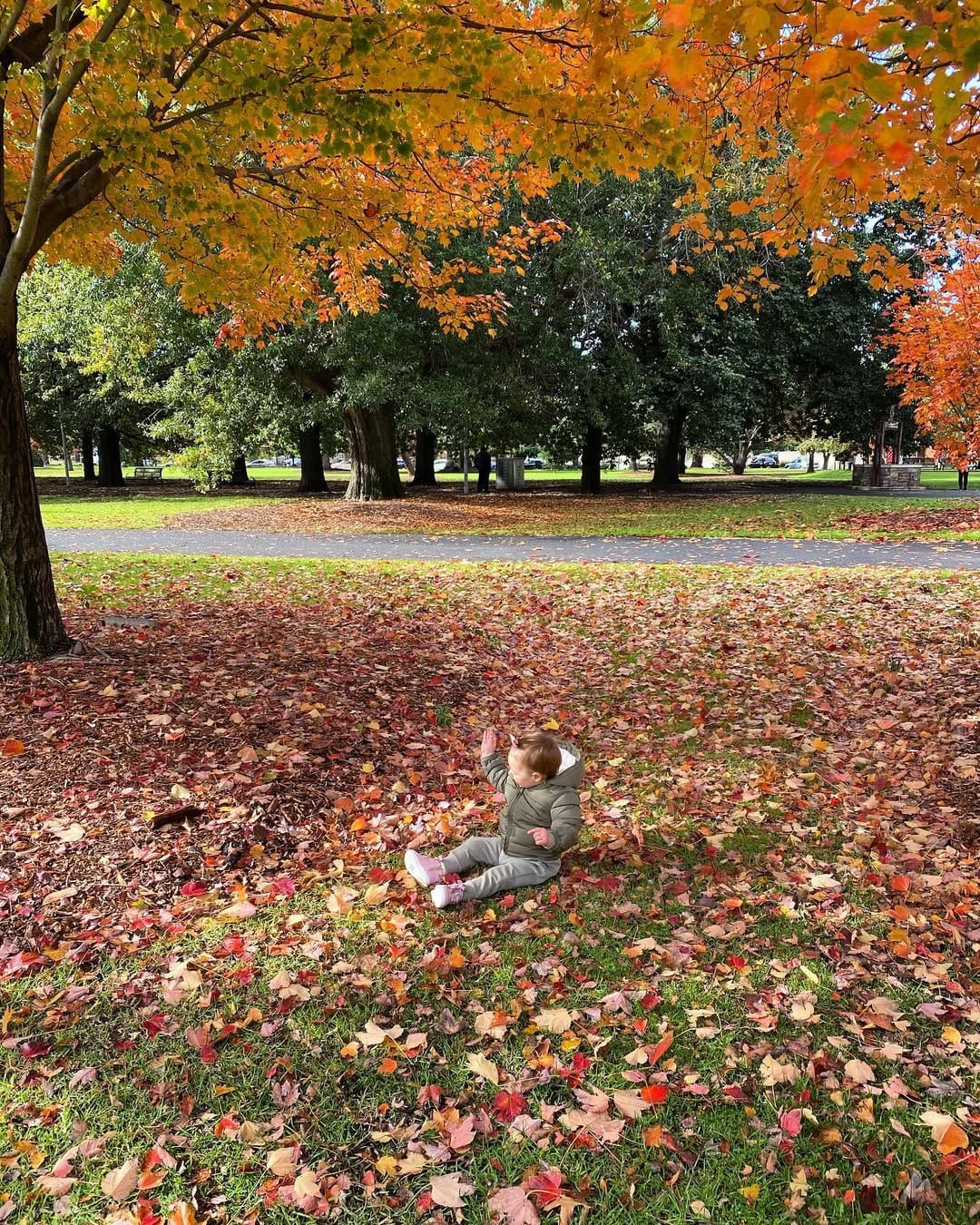 Post 6 by The B Files. on Instagram (image)