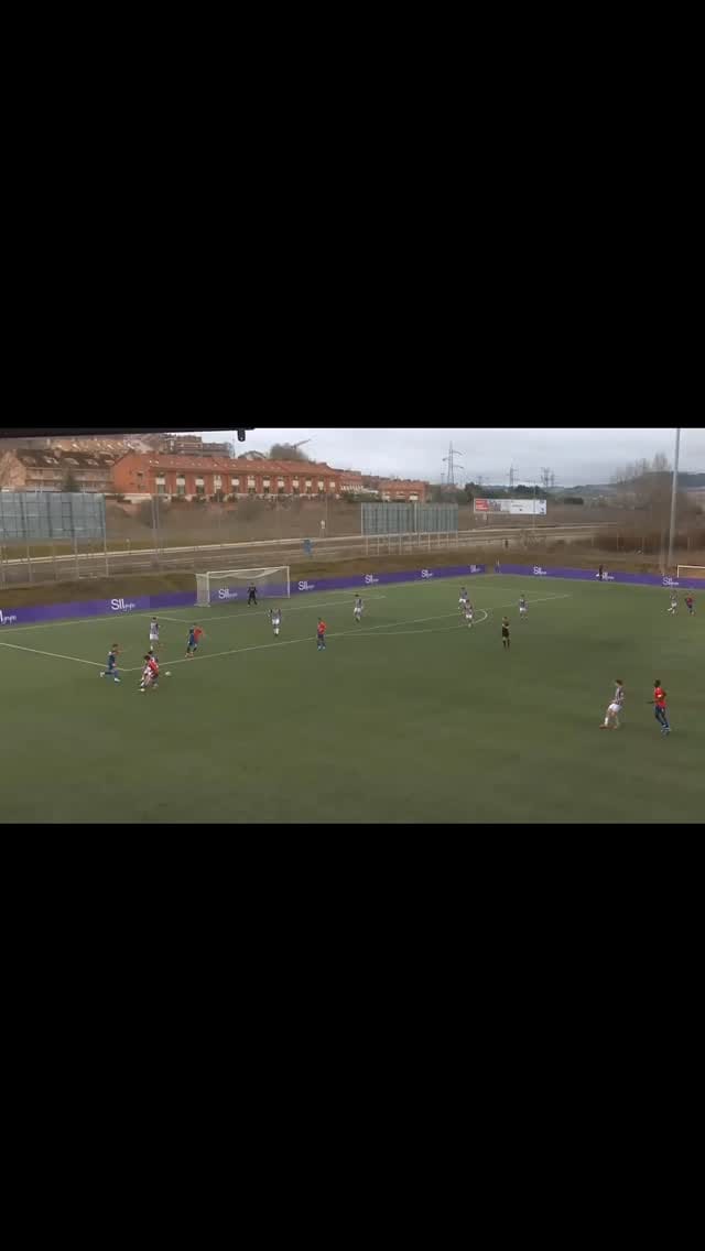 Post 4 by Gonzalo Castillo Vegas on Instagram (video)