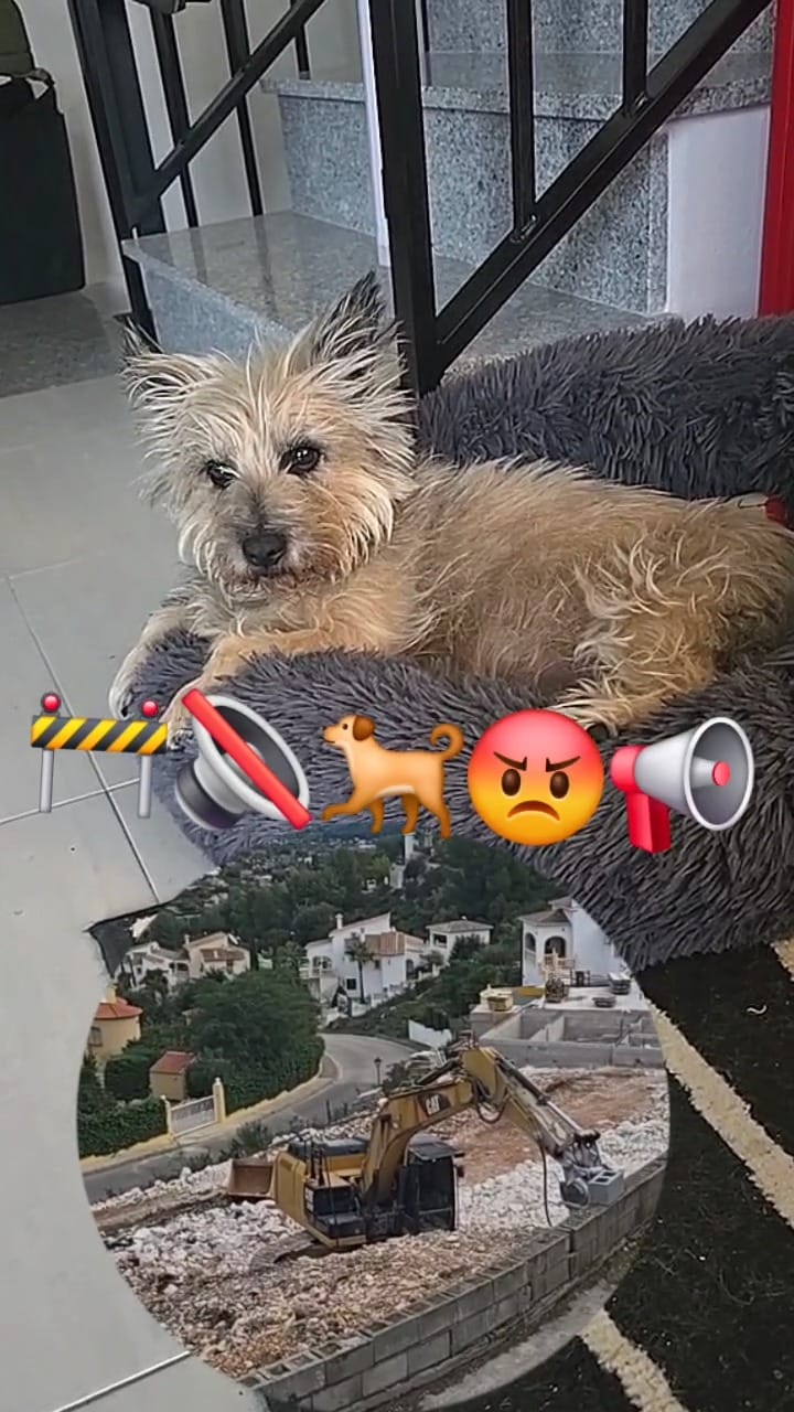Post 5 by Joona on Instagram (video)