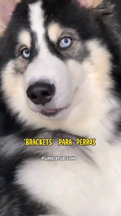 Post 9 by Ortodoncia Dra Airy Hernández on Instagram (video)