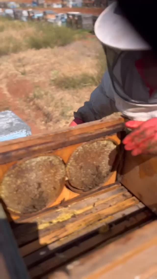 Post 4 by ELLA FARM on Instagram (video)