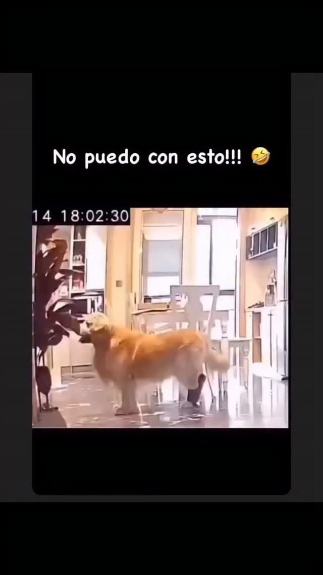 Post 2 by Elva Rivero Perez on Instagram (video)