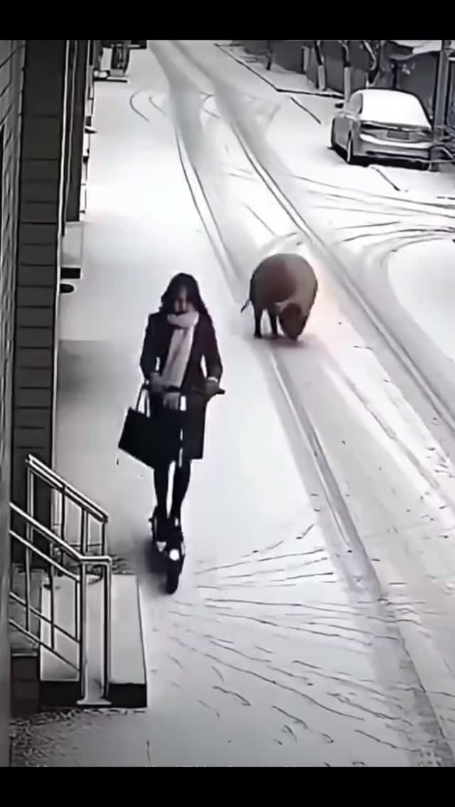 Post 9 by Elva Rivero Perez on Instagram (video)