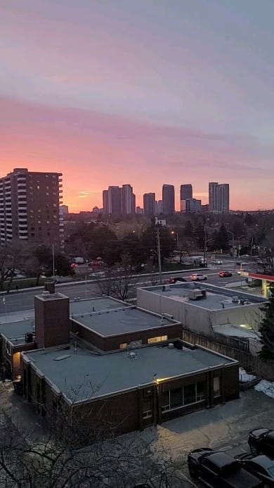 Post 8 by Shimaa Radwan on Instagram (video)