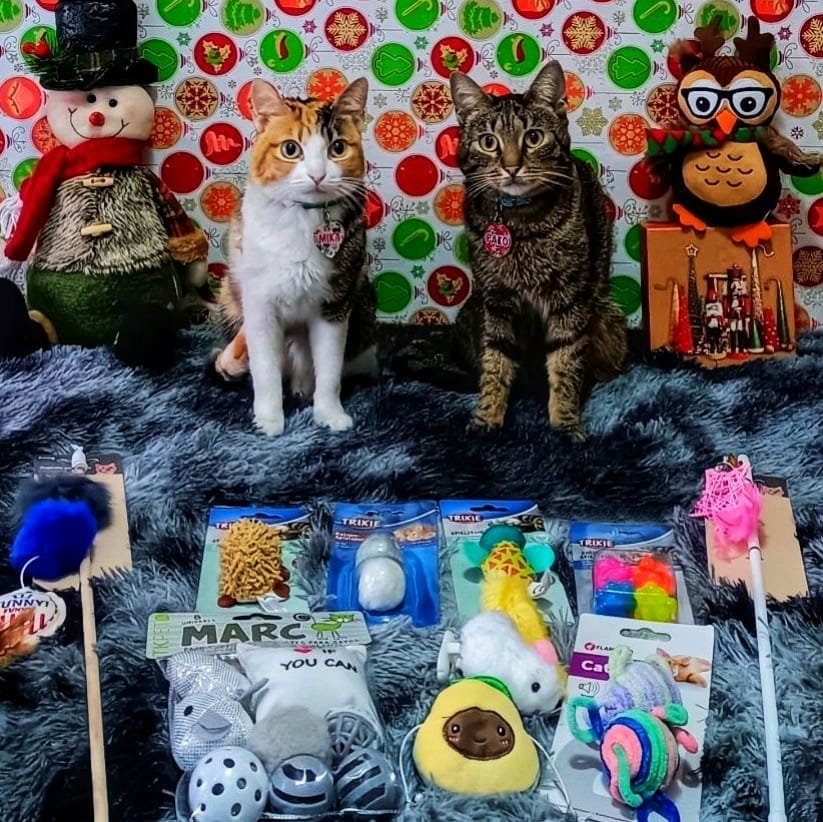 Post 7 by 🌸MIKA🌸 & 🍁PAKO🍁 | on Instagram (image)