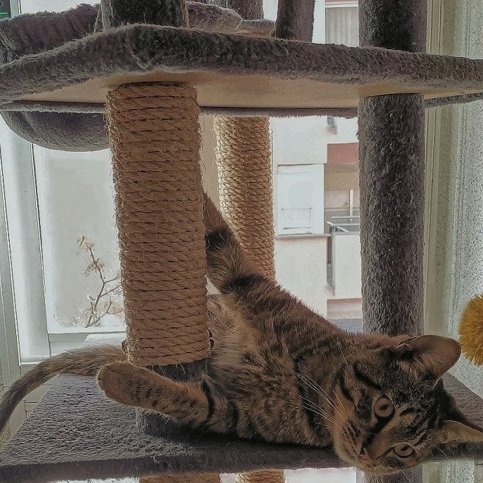 Post 8 by 🌸MIKA🌸 & 🍁PAKO🍁 | on Instagram (image)