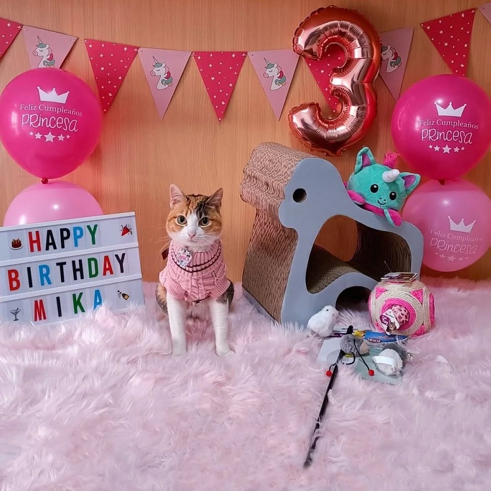 Post 4 by 🌸MIKA🌸 & 🍁PAKO🍁 | on Instagram (image)