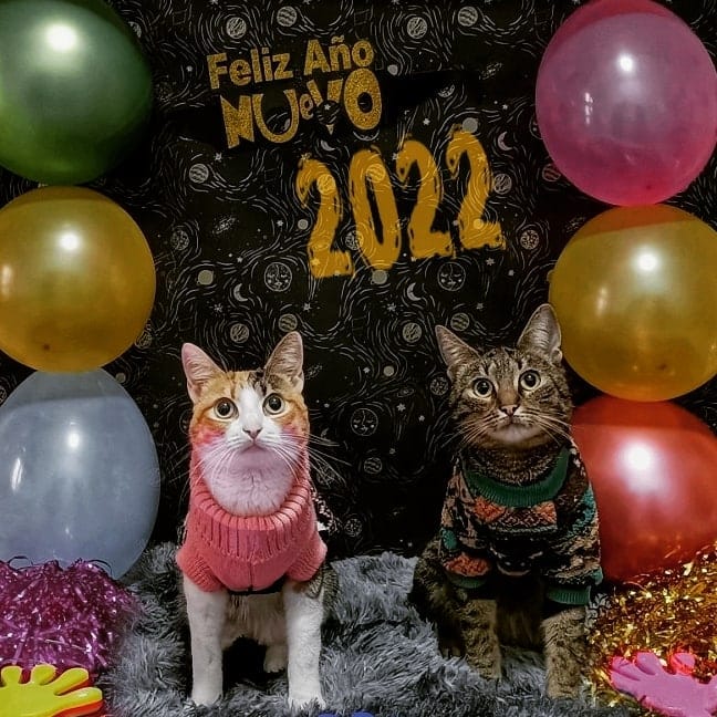 Post 9 by 🌸MIKA🌸 & 🍁PAKO🍁 | on Instagram (image)