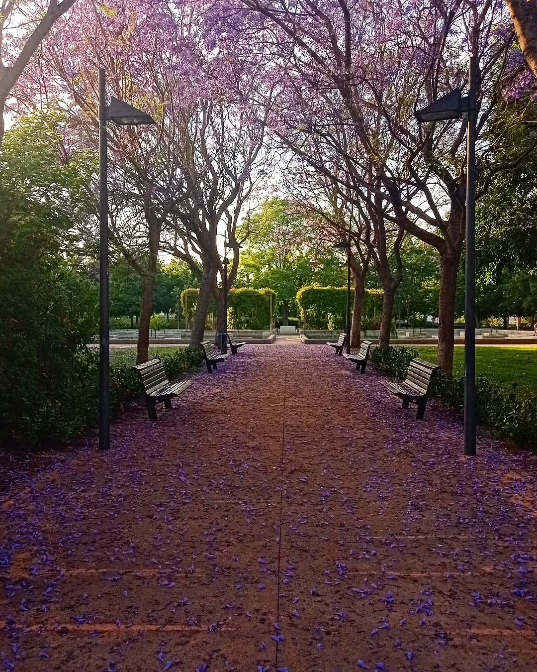 Post 8 by Adela ✈ Travel Blog on Instagram (image)