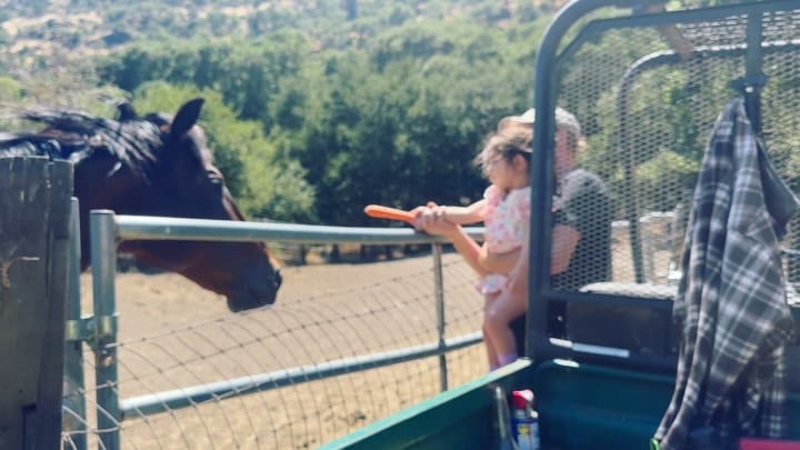 Post 9 by 𝒯𝒾𝒻𝒻 𝑀𝒶𝒸𝒟𝑜𝓃𝒶𝓁𝒹 | 𝒫𝒽𝒶𝓇𝓂𝒟 on Instagram (carousel)