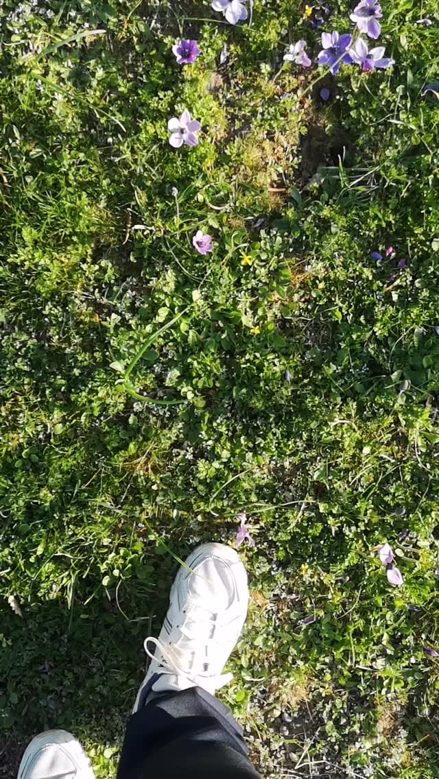 Post 10 by Pebble Artist 💍 on Instagram (video)