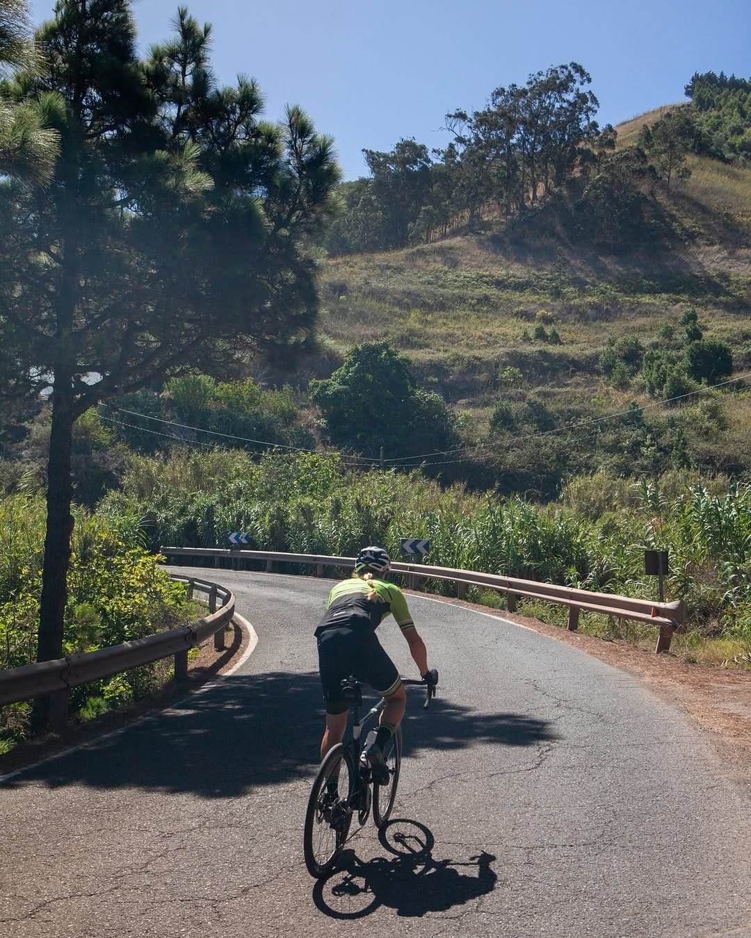 Post 1 by Free Motion Bikecenter on Instagram (carousel)