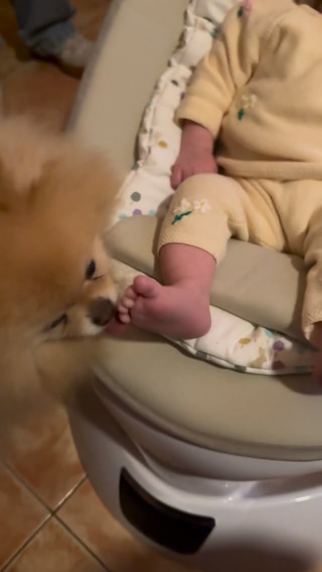 Post 1 by 🎀Valentina, BabyTous & Aixa🎀 on Instagram (video)
