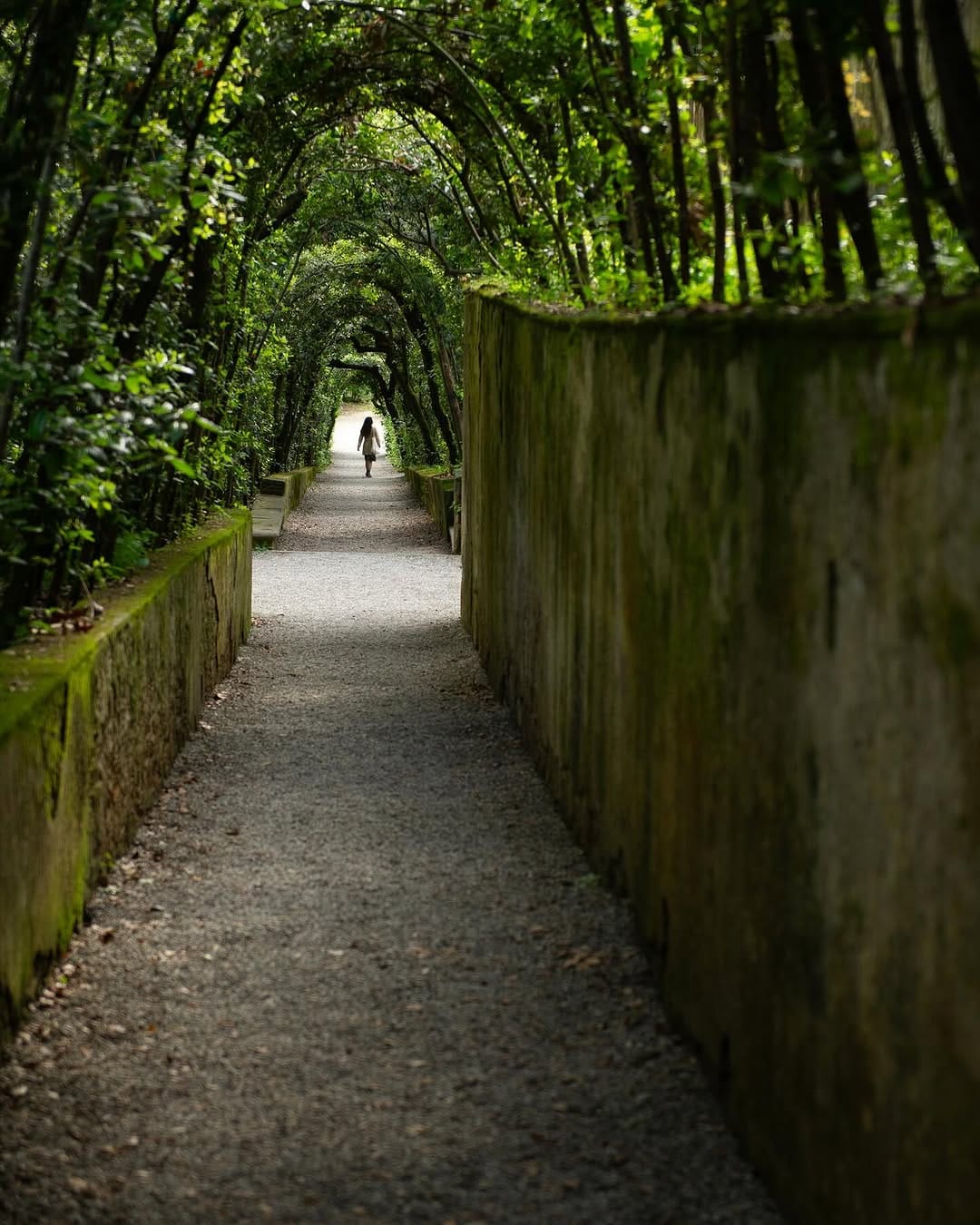Post 9 by Alessandro Cancian on Instagram (image)