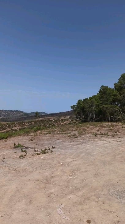Post 3 by Yassine Berdii on Instagram (video)