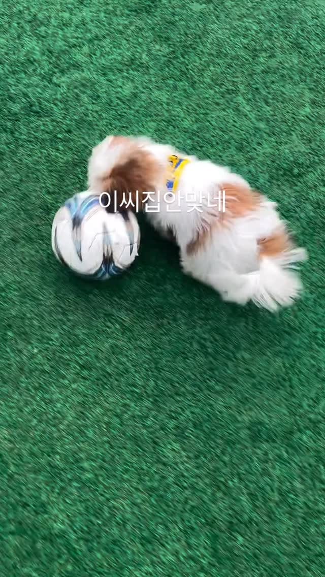 Post 5 by 이지솔 on Instagram (video)