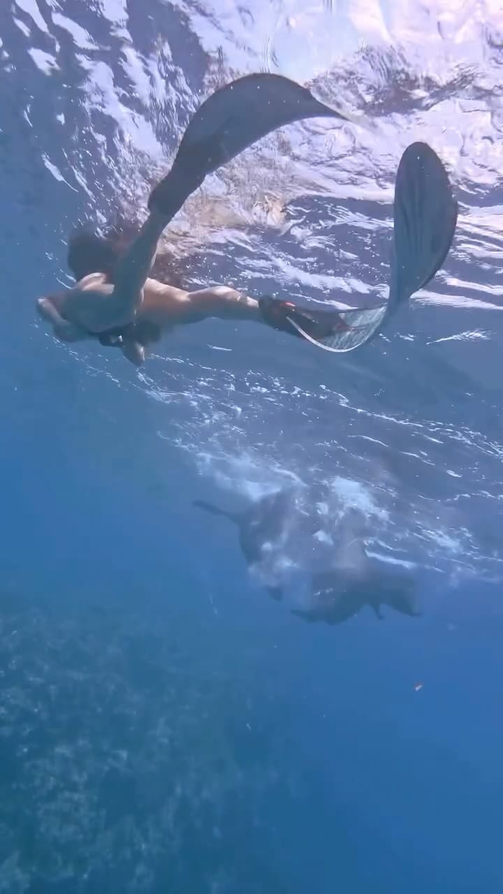 Post 4 by La Ventana Hotel & Hostel on Instagram (video)