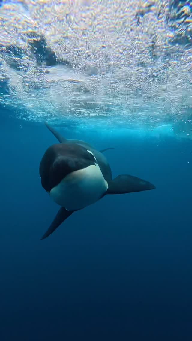 Post 6 by La Ventana Hotel & Hostel on Instagram (video)