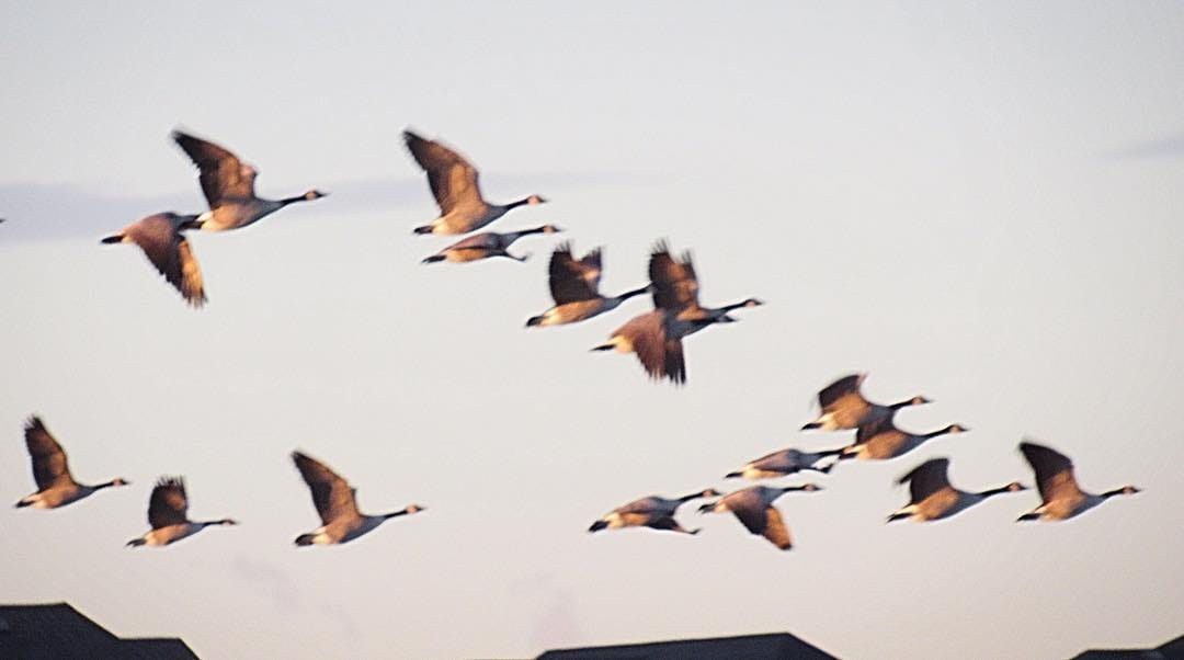 Post 7 by Bruce Burton on Instagram (image)