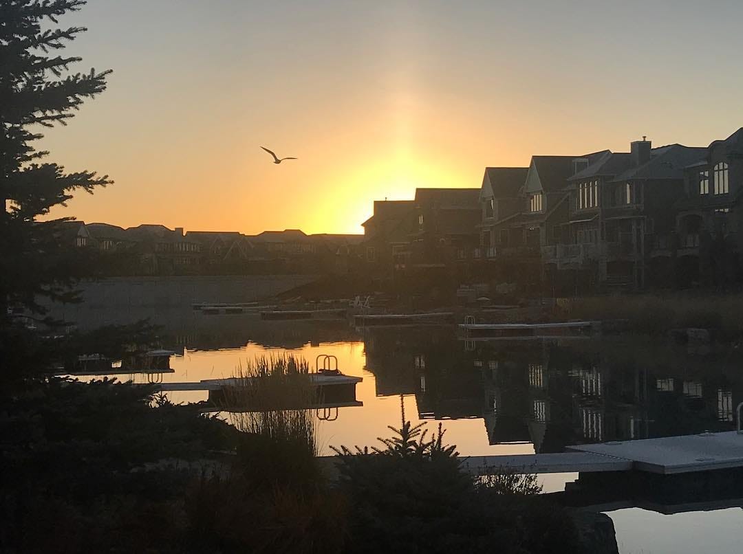 Post 9 by Bruce Burton on Instagram (image)
