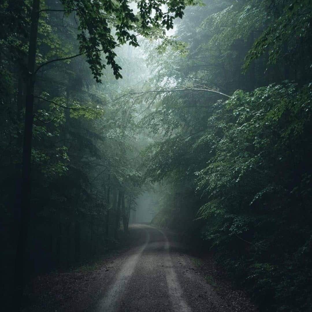 Post 1 by Envy Wanderlust on Instagram (image)