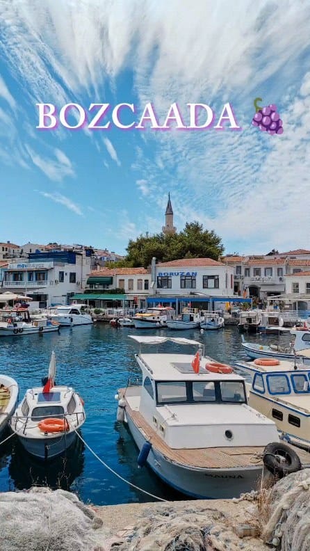 Post 7 by Bircan KOCABIYIK on Instagram (video)