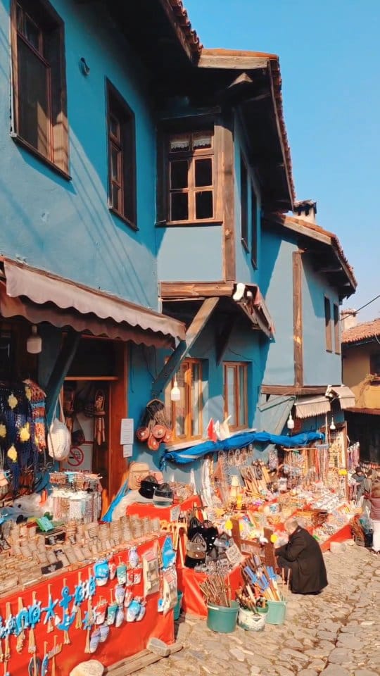 Post 5 by Bircan KOCABIYIK on Instagram (video)