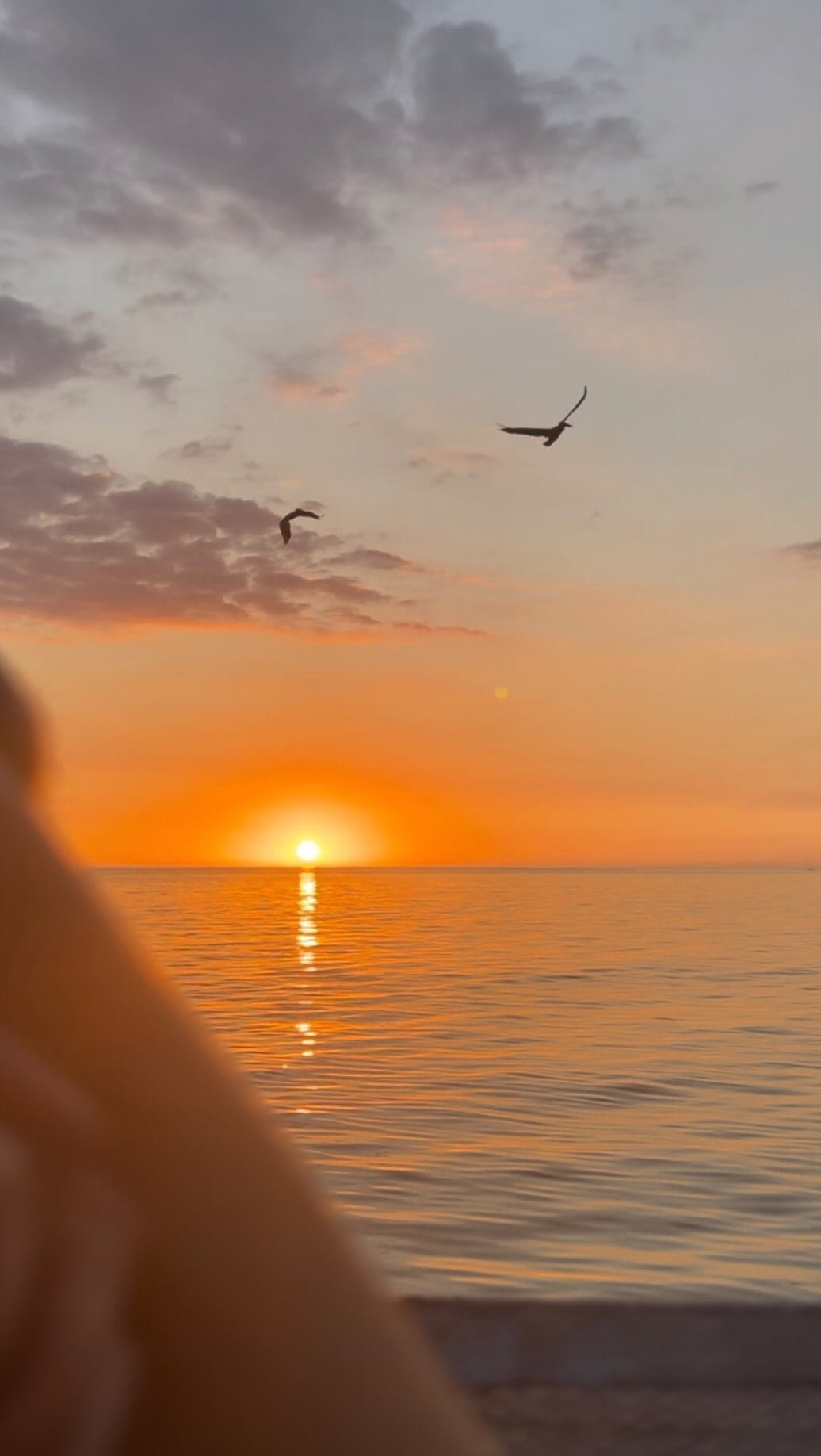 Post 6 by Sarah Siddons on Instagram (video)