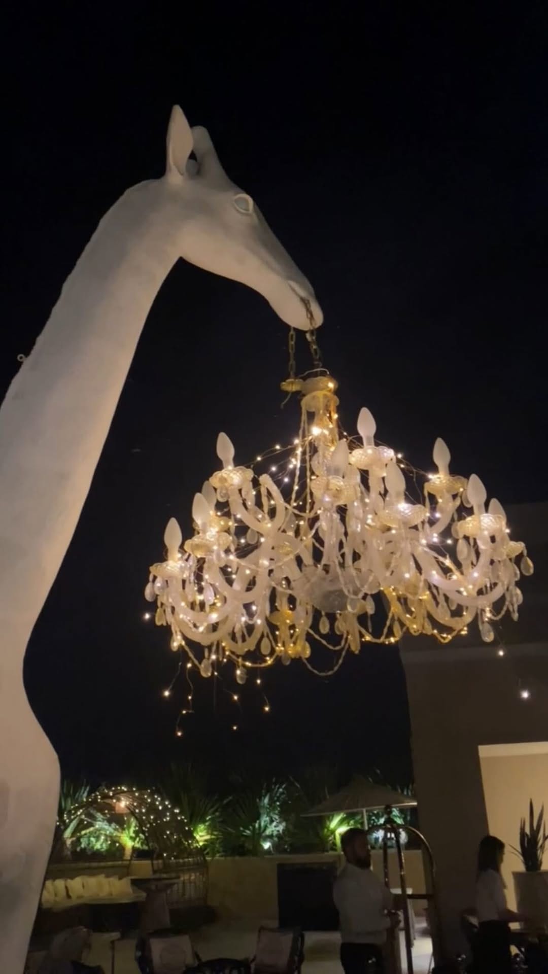Post 4 by Ekaterina Bird on Instagram (video)