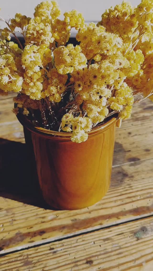 Post 7 by 𝓓𝓸𝓾𝓬𝓮𝓾𝓻𝓼 𝓭𝓾 𝓜é𝓭𝓸𝓬 on Instagram (video)