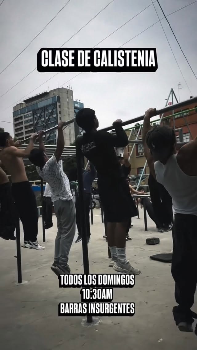 Post 9 by Daghni Fresco on Instagram (video)